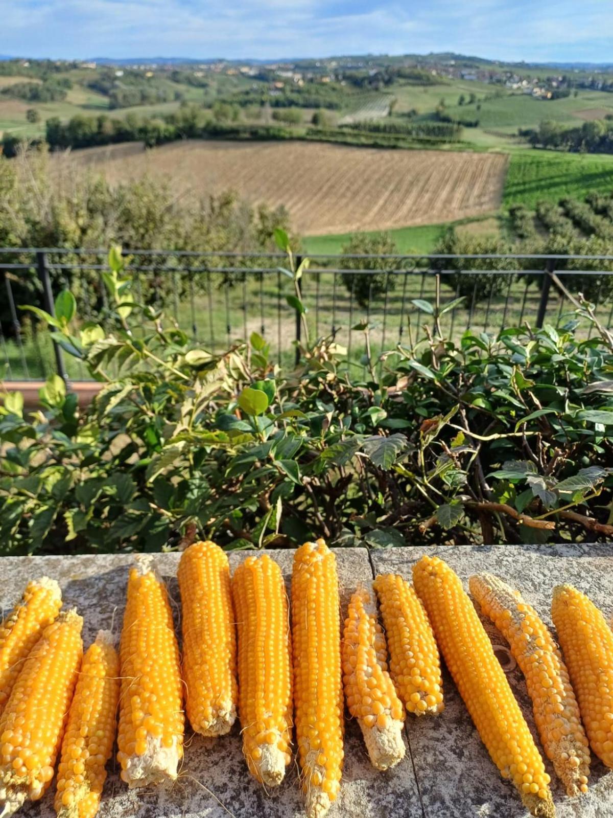 San Rocco Di Villa Di Isola D'אסטי מראה חיצוני תמונה